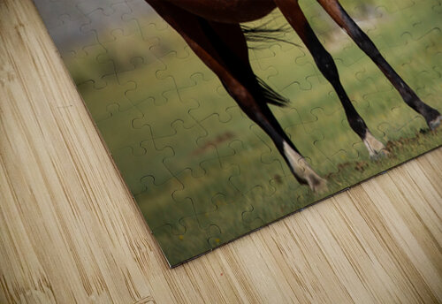 Mono Lake Wild Horse Series 1 ImagesbyMJRoss puzzle