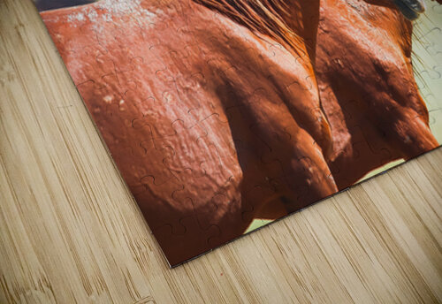 Mono Lake Wild Horse Series 1 ImagesbyMJRoss puzzle