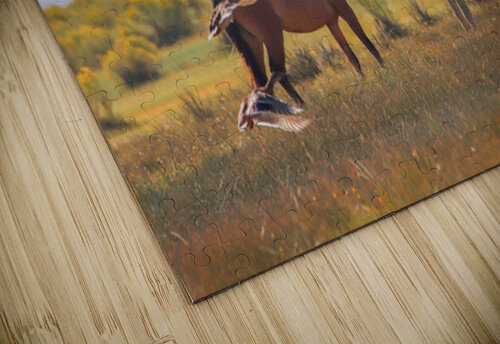 Mono Lake Wild Horse Series 1 ImagesbyMJRoss puzzle