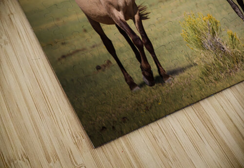 Mono Lake Wild Horse Series 1 ImagesbyMJRoss puzzle