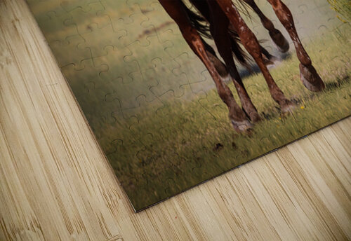 Mono Lake Wild Horse Series 1 ImagesbyMJRoss puzzle