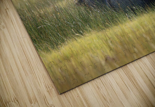 Mono Lake Wild Horse Series 1 ImagesbyMJRoss puzzle