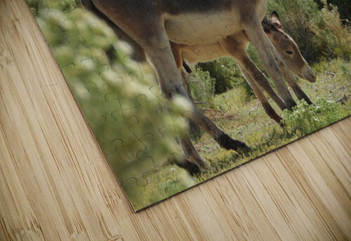 Marietta Wild Burro Range HMA 1 ImagesbyMJRoss puzzle