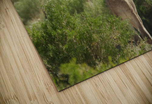 Marietta Wild Burro Range HMA 1 ImagesbyMJRoss puzzle