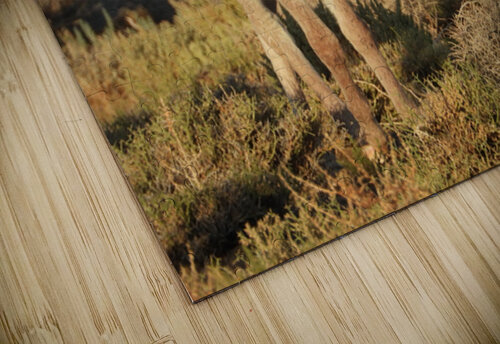 Marietta Wild Burro Range HMA 1 ImagesbyMJRoss puzzle