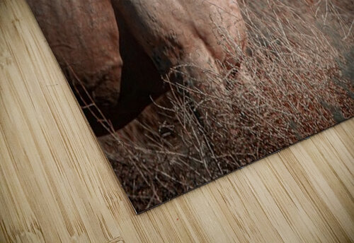 Nevada Mustang series 3 1 ImagesbyMJRoss puzzle