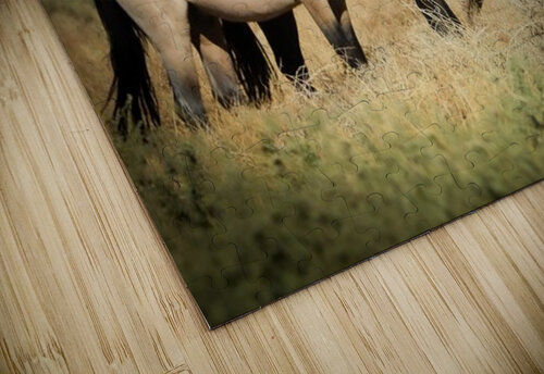 Nevada Mustang series 4 1 ImagesbyMJRoss puzzle