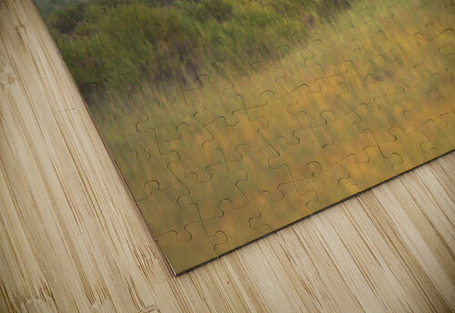 Nevada Mustang series 5 1 ImagesbyMJRoss puzzle