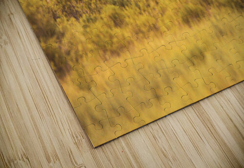 Nevada Mustang series 6 1 ImagesbyMJRoss puzzle