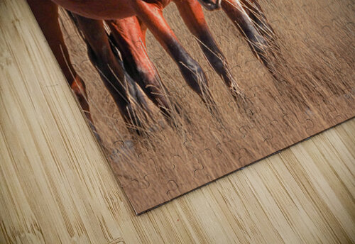 Nevada Mustang series 7 1 ImagesbyMJRoss puzzle