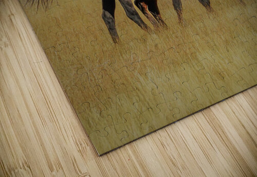 Nevada Mustang series 9 1 ImagesbyMJRoss puzzle