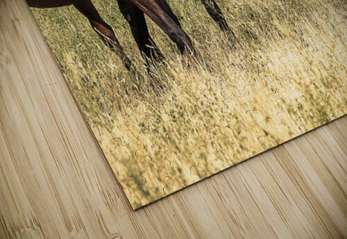 Nevada Mustang series 10 1 ImagesbyMJRoss puzzle