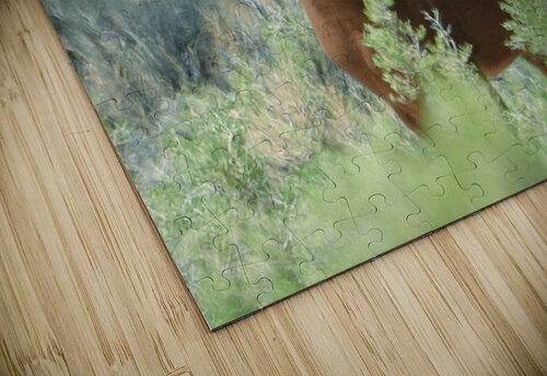 Nevada Mustang series 13 1 ImagesbyMJRoss puzzle