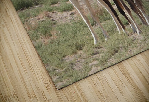 Nevada wild 4 ImagesbyMJRoss puzzle