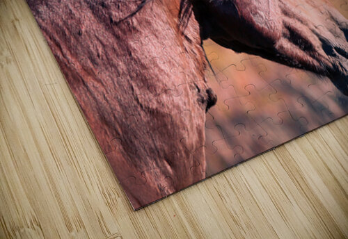 Nevada wild 2 ImagesbyMJRoss puzzle