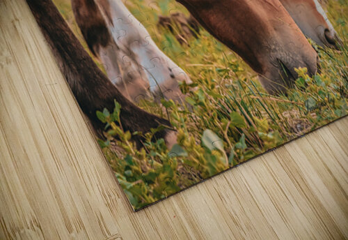 Nevada wild 1 1 ImagesbyMJRoss puzzle