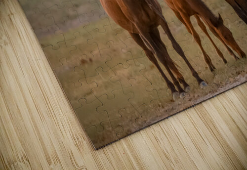 Nevada wild  Series VR1 2 ImagesbyMJRoss puzzle