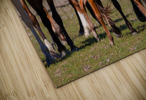 Nevada wild  Series VR1 3 ImagesbyMJRoss puzzle