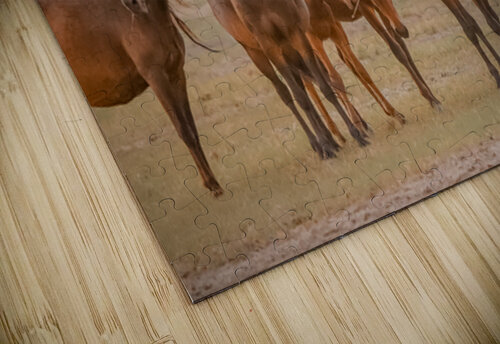 Nevada wild  Series VR1 2 ImagesbyMJRoss puzzle