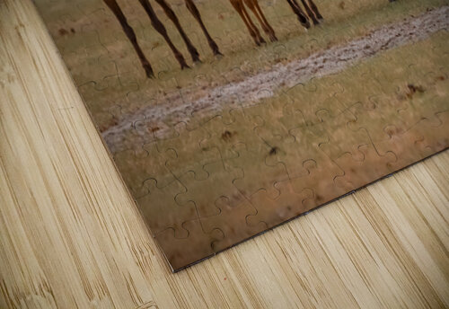 Nevada wild  Series VR1 3 ImagesbyMJRoss puzzle