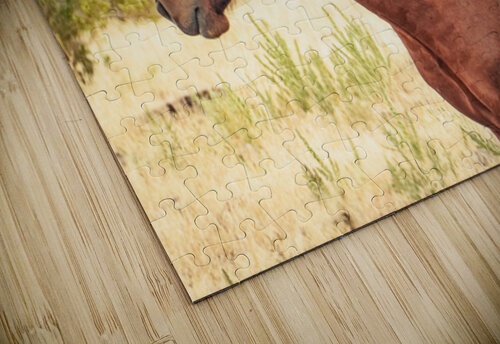 Nevada Mustang Series 17 1 ImagesbyMJRoss puzzle