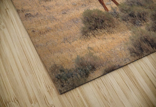 Nevada Mustang Series 16 1 ImagesbyMJRoss puzzle