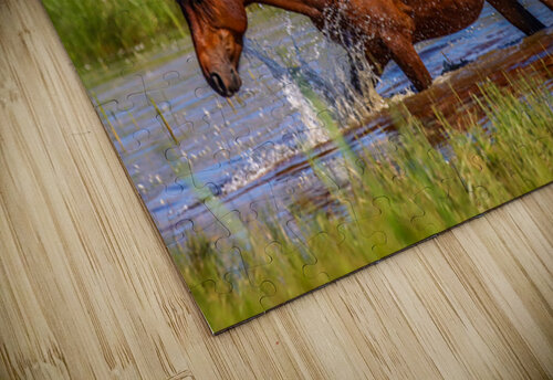 Nevada Mustang 1 1 ImagesbyMJRoss puzzle