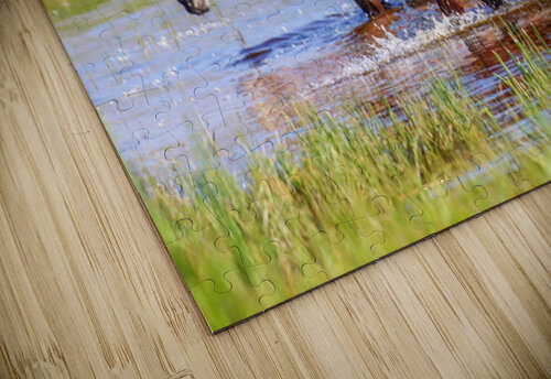 Nevada Mustang 1 2 ImagesbyMJRoss puzzle