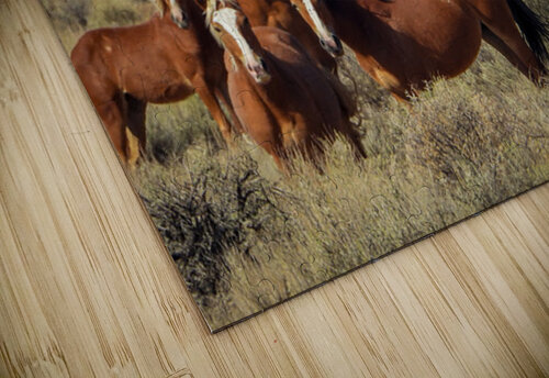 Nevada Mustang 2 5 ImagesbyMJRoss puzzle