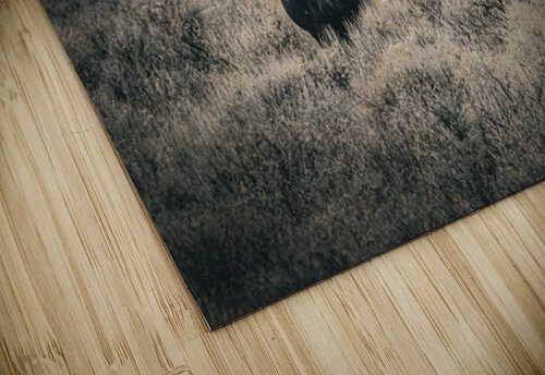 Nevada Mustang 3 1 ImagesbyMJRoss puzzle