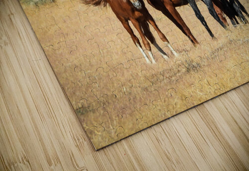 Nevada Mustang 3 3 ImagesbyMJRoss puzzle