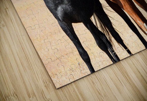 Nevada Mustang 3 5 ImagesbyMJRoss puzzle