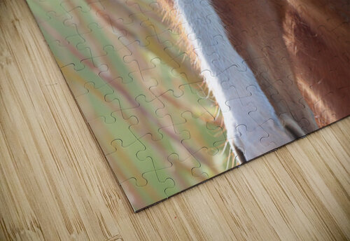 Nevada Wild 12 1 ImagesbyMJRoss puzzle