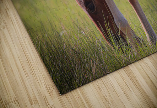 Nevada Wild 13 1 ImagesbyMJRoss puzzle