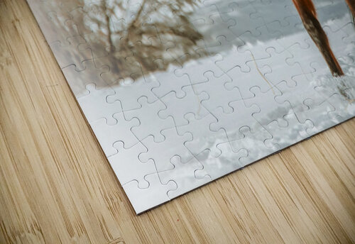 Nevada Wild Winter2 1 ImagesbyMJRoss puzzle