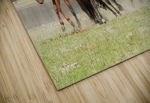 Nevada Wild 15 1 ImagesbyMJRoss puzzle