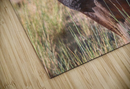 Nevada Wild 165 1 ImagesbyMJRoss puzzle