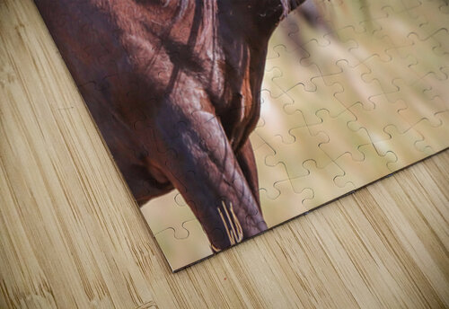 Nevada Wild 165 2 ImagesbyMJRoss puzzle