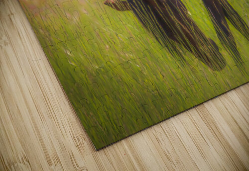 Nevada Wild 165 1 ImagesbyMJRoss puzzle