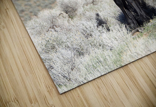 Nevada Wild 165 1 ImagesbyMJRoss puzzle