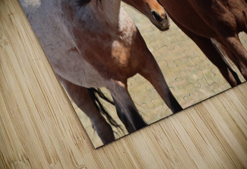 Nevada Wild 165 1 ImagesbyMJRoss puzzle