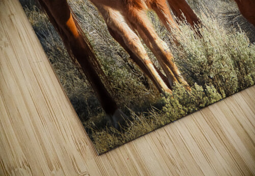 Nevada Wild 165 1 ImagesbyMJRoss puzzle
