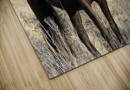 Nevada Wild 165 1 ImagesbyMJRoss puzzle