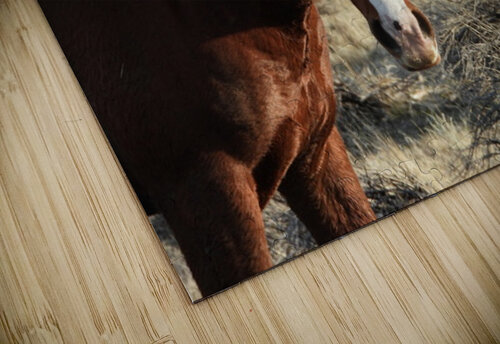 Nevada Wild 165 1 ImagesbyMJRoss puzzle