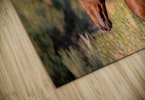 Nevada Wild 165 1 ImagesbyMJRoss puzzle