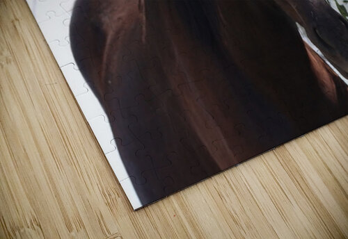 Nevada Wild 165 1 ImagesbyMJRoss puzzle