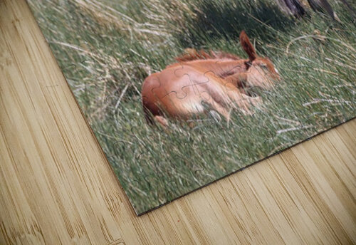 Nevada Wild 165 1 ImagesbyMJRoss puzzle