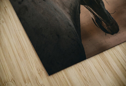 Nevada Wild 165 1 ImagesbyMJRoss puzzle