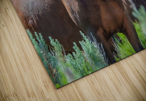 Nevada Wild 165 1 ImagesbyMJRoss puzzle