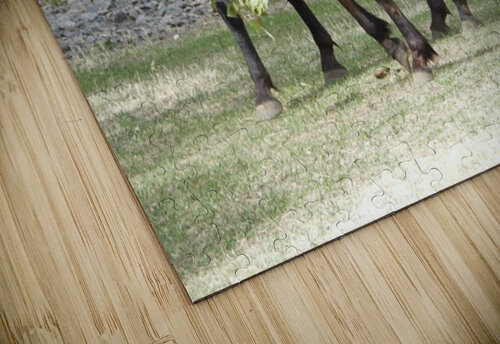 Nevada Wild 165 1 ImagesbyMJRoss puzzle